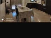 Bilocale arredato con terrazzo Isolotto e legnaia