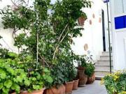 Bilocale arredato con terrazzo Materdei, museo museo