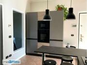 Bilocale arredato con terrazzo Pavia