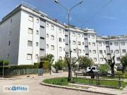 Bilocale arredato con terrazzo Vasto marina