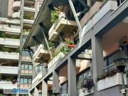Bilocale arredato Fiera, firenze, sempione, paolo... Bilocale arredato Fiera, firenze, sempione, paolo...