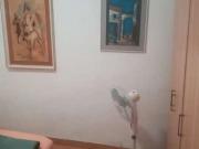 Bilocale arredato Fiumicino