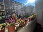 Bilocale arredato Greco, monza, palmanova, bicocca