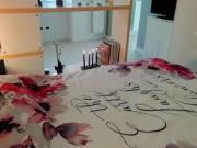 Bilocale arredato San salvario