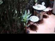 Bilocale arredato Sesto città