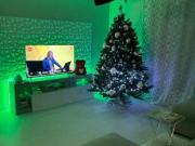 Bilocale arredato Viareggio