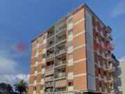 Bilocale con box a Latina