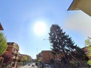 BILOCALE CON CANTINA E TERRAZZO CESANO BOSCONE