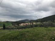 Bilocale con giardino a Pomaia