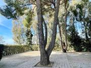 Bilocale con giardino in stradone del belvedere,...