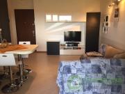 Bilocale con terrazzo in vismara, Agrate Brianza