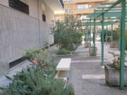 Bilocale con terrazzo Nuovo salario, prati fiscali,...