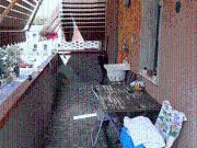 Bilocale con terrazzo, Sarzana marinella di