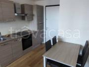 Bilocale in affitto a Bologna via Jacopo di Paolo, 33/2,...