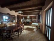 Bilocale in affitto a Feroleto Antico