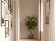 Bilocale in affitto a Firenze via Giovan Filippo Mariti,...