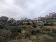 Bilocale in affitto a Genova, Pra'