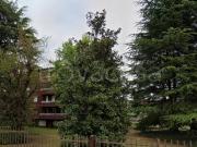 Bilocale in affitto a Meda via Sant'Agostino, 6