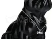 Bilocale in affitto a Noventa di Piave via Calnova 13/a