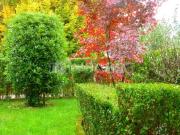 Bilocale in affitto a Peschiera, Peschiera Borromeo