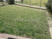 Bilocale in affitto a San Bonifacio via Guglielmo Oberdan