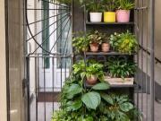 Bilocale in affitto a Torino, Quadrilatero Romano