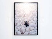 Bilocale in affitto a Torino, San Donato