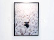 Bilocale in affitto a Torino, San Donato