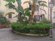 Bilocale Trastevere, aventino, testaccio