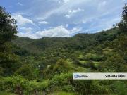 Bilut, Bentong, Sang Lee Raub, Bilut, Sang Lee, Raub,...