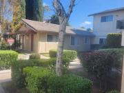 BIRCHES APTS 1 Bedroom Apartment for Rent at 7945 N El...
