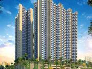Birla Trimaya,Yerthiganahalli 1 BHK Apartment For Sale...