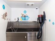 Bishop Heights 2 Bedroom Apartment for Rent at 745... Bishop Heights 2 Bedroom Apartment for Rent at 745...