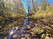 Bismarck MO 63624 LS96012076