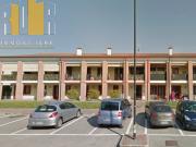 Bi/Trilocale in Vendita a Borgoricco