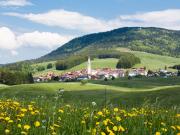 Bi/Trilocale in Vendita a Roana