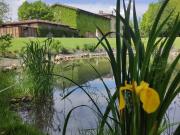 Bi/Trilocale in Vendita a Sona