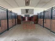 Bi/Tri/Quadrifamiliare in Vendita a San Pietro Viminario