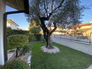 Bi/Tri/Quadrifamiliare in Vendita a Tezze sul Brenta