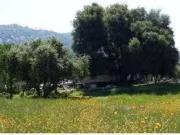 Black Mountain Rd