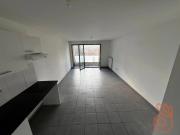 BLAGNAC DUPLEX T3 2 PARKINGS