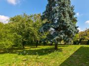 Blandy Vente Terrain 77