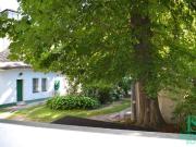 Blick ins Grüne! Zentrumsnahe Loggia Wohnung WG...