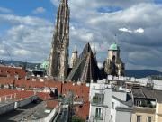 Blick zum Stephansdom