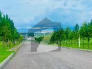 Block A 10 Marla In Plot For Sale Gulberg Residencia...