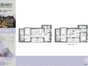 BLOOM EIN NEUES PROJEKT IN STAMMERSDORF JETZT DIE BESTE...