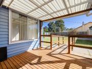 Blue Beauty Packed With Potential