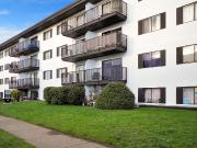 Blue Cedar Apartments 1 Bedroom Apartment for Rent at...