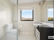 Blue Chip Investment