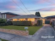 BLUE CHIP POTENTIAL IN MOUNT WAVERLEY'S HEART!